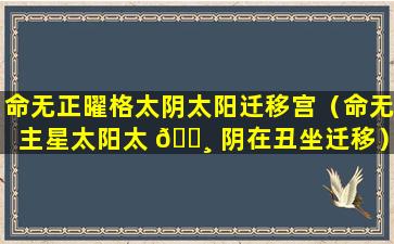 命无正曜格太阴太阳迁移宫（命无主星太阳太 🕸 阴在丑坐迁移）